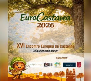 𝗫𝗩𝗜 𝗘𝗻𝗰𝗼𝗻𝘁𝗿𝗼 𝗘𝘂𝗿𝗼𝗽𝗲𝘂 𝗱𝗮 𝗖𝗮𝘀𝘁𝗮𝗻𝗵𝗮