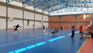 Torneio de Badminton