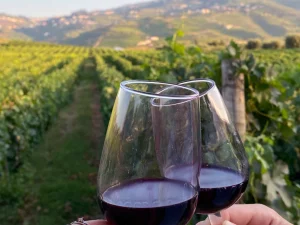 Vinhos devem ser declarados a partir de agosto