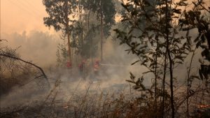 Incêndio em Valpaços mobiliza 444 operacionais e 7 meios aéreos